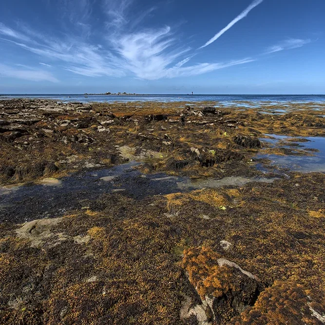 <strong>Vue Sur Mer #550 - Saint-Pierre (Penmarc'h) | 29</strong> <small>© Rémy SALAÜN</small>