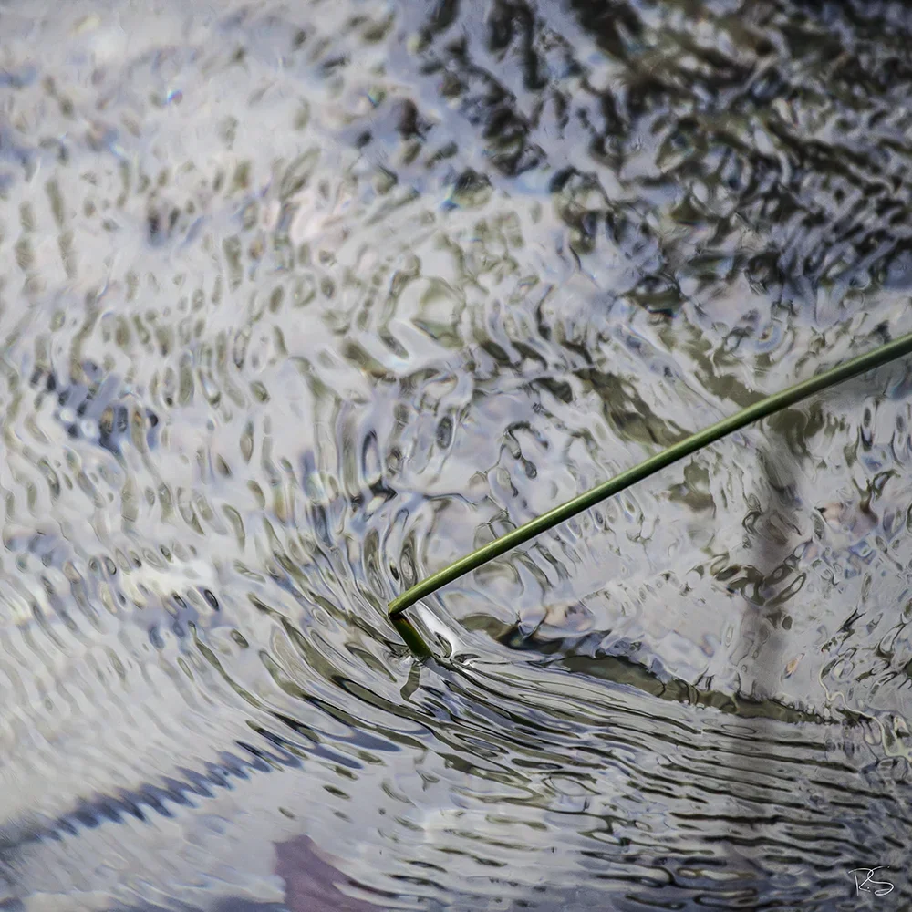 <strong>Fluides #1428 - </strong> <small>© Rémy SALAÜN</small>