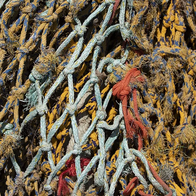 <strong>Couleurs des Ports #595 - Le Guilvinec | 29</strong> <small>© Rémy SALAÜN</small>