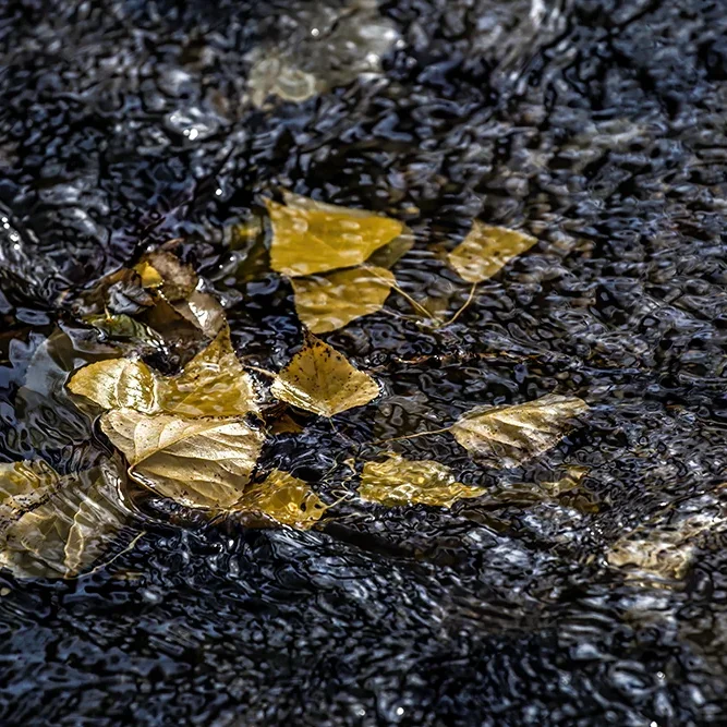 <strong>Fluides #1425 - </strong> <small>© Rémy SALAÜN</small>