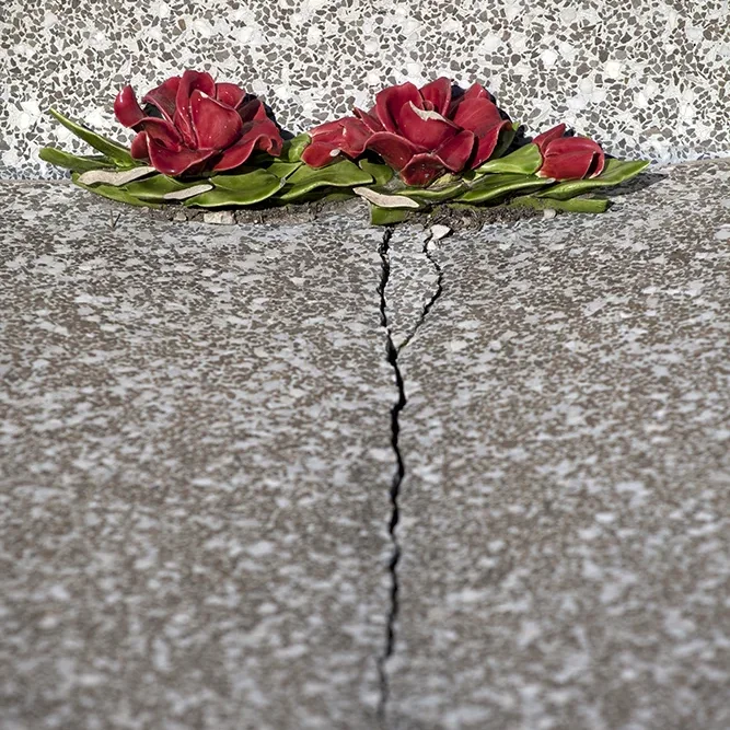 <strong>Mémoires #247 - </strong> <small>© Rémy SALAÜN</small>