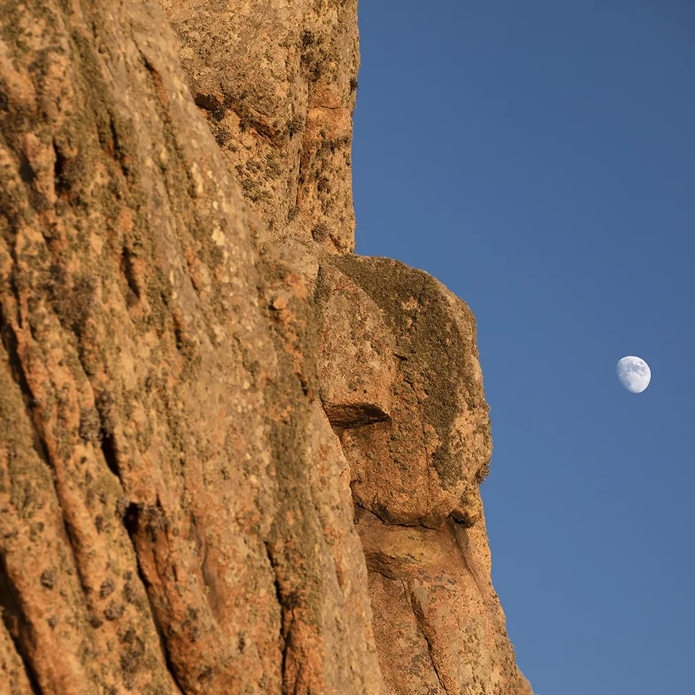 <strong>Vue Sur Mer #599 - Plougrescant | 22</strong> <small>© Rémy SALAÜN</small>