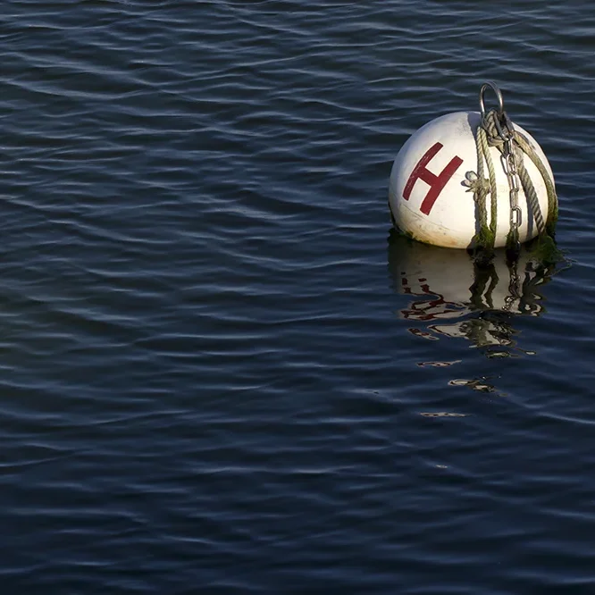 <strong>Reflets #337 - Kérity (Penmarc'h) | 29</strong> <small>© Rémy SALAÜN</small>