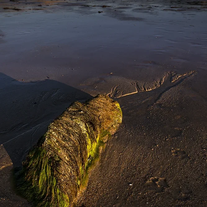 <strong>Vue Sur Mer #723 - Plévenon | 22</strong> <small>© Rémy SALAÜN</small>