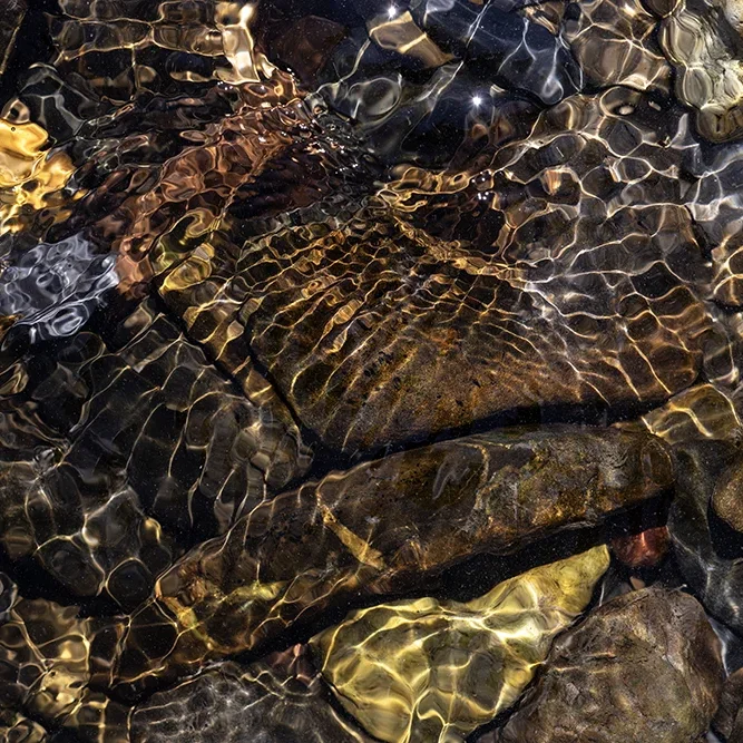 <strong>Fluides #2461 - </strong> <small>© Rémy SALAÜN</small>